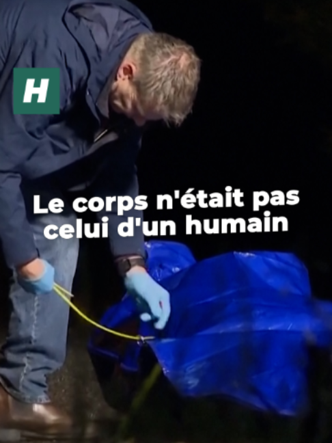 @Le Huffpost
