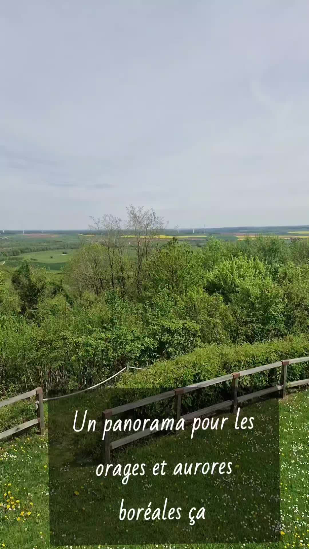 @CARO 2.0