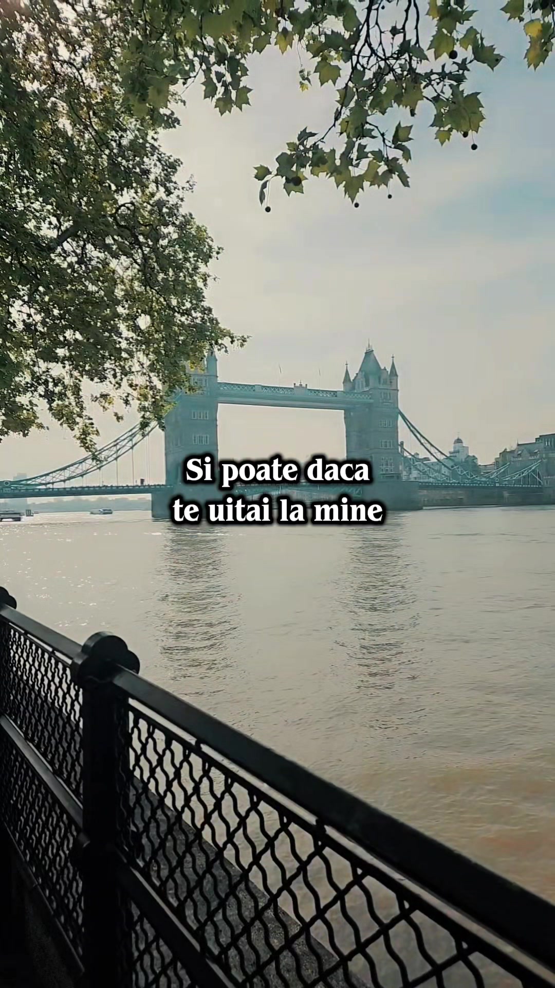 @lore6