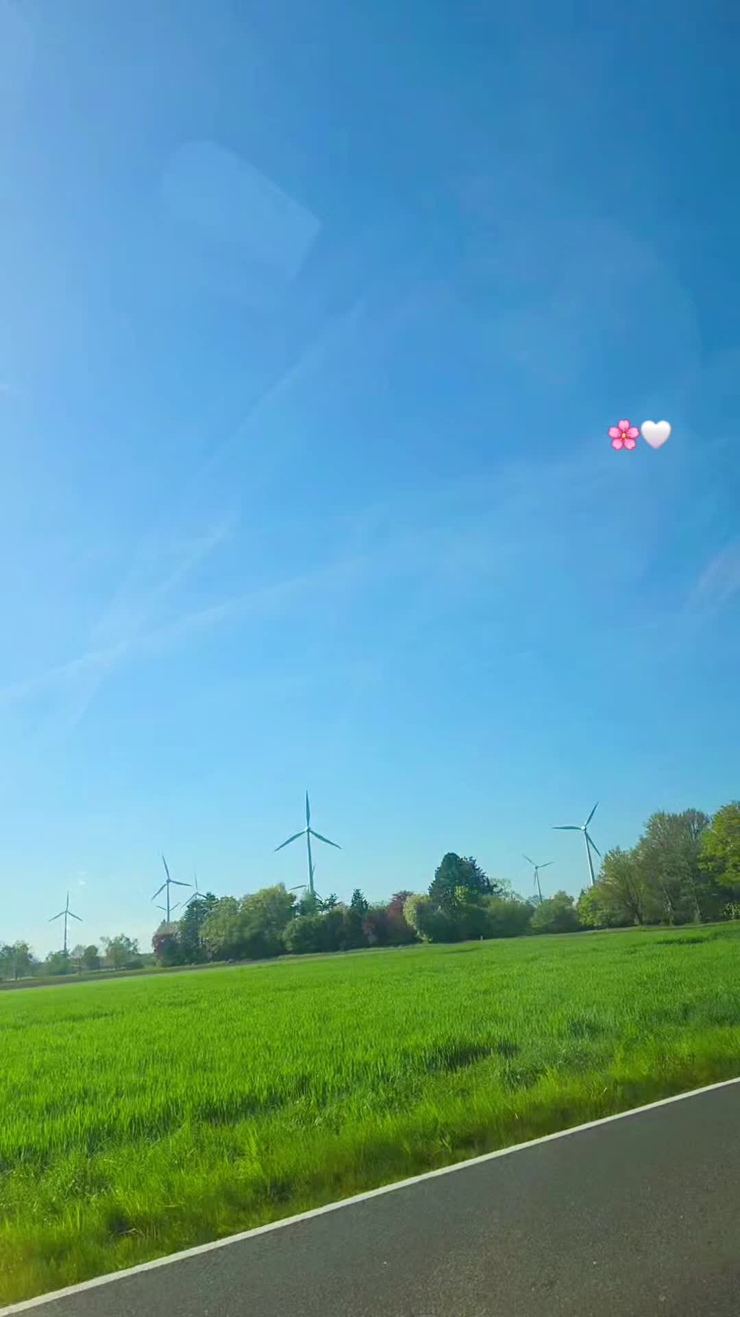 @ايفا🌹