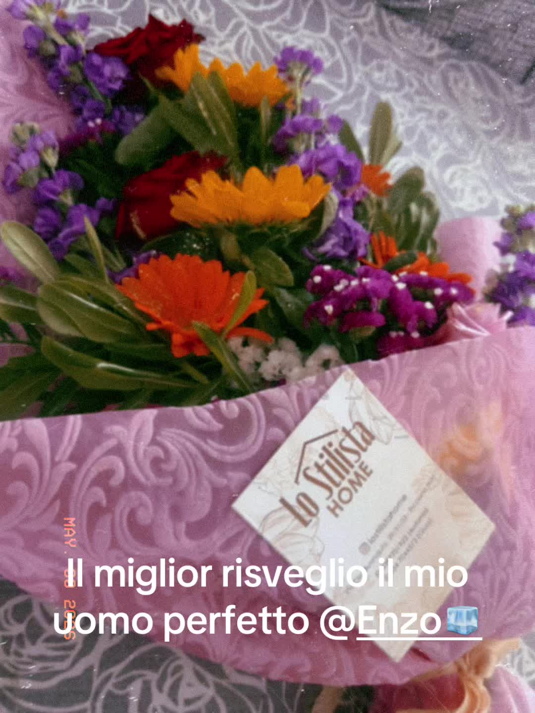 @elenademarco2