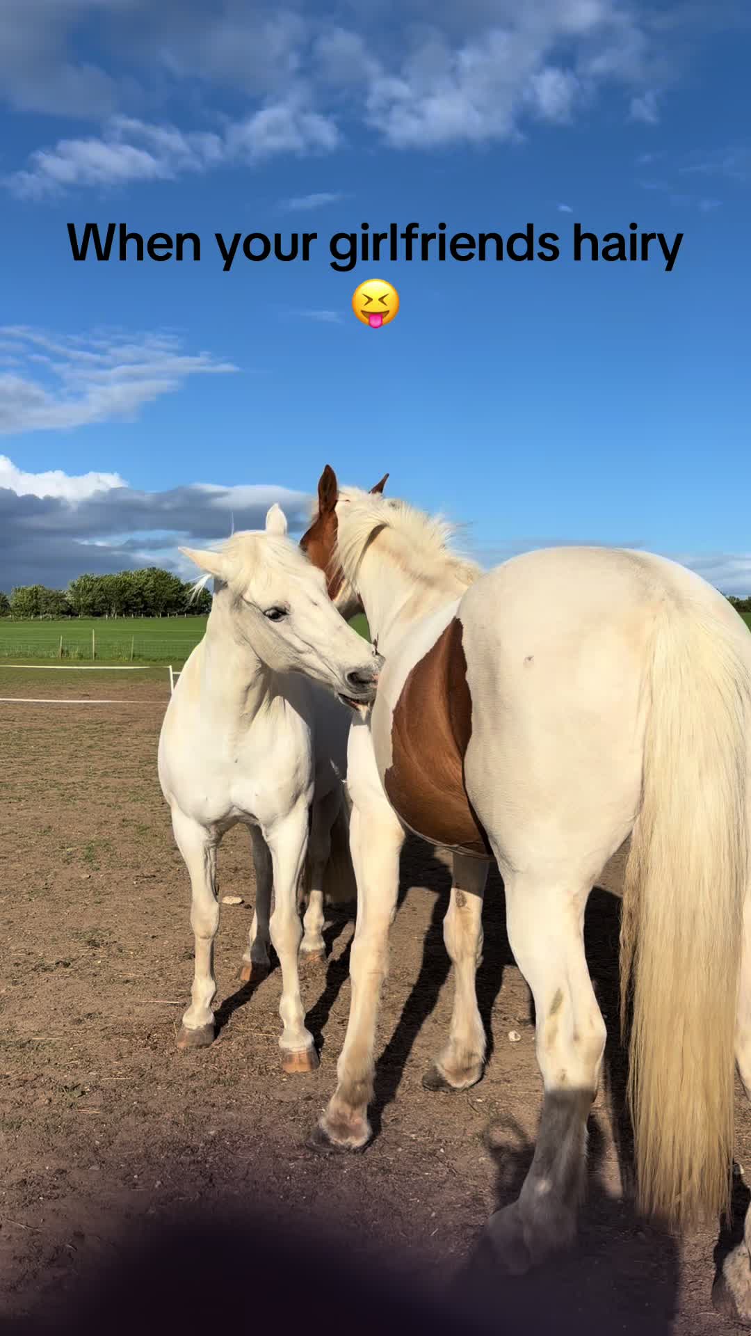 @Peasburyfarmpup