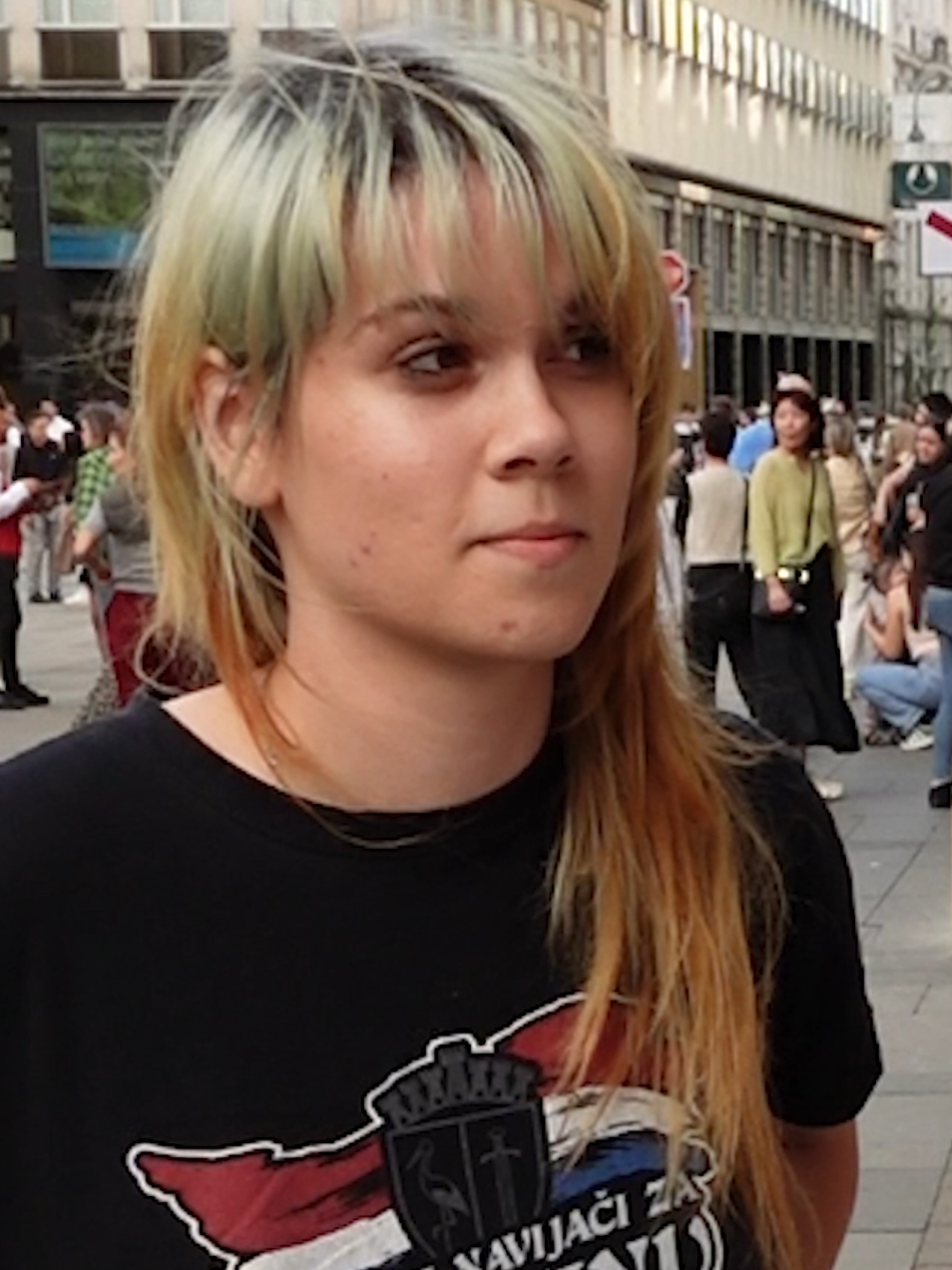 @Lingualizer