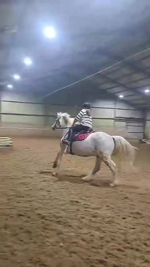 @Saoirse🪽🐎