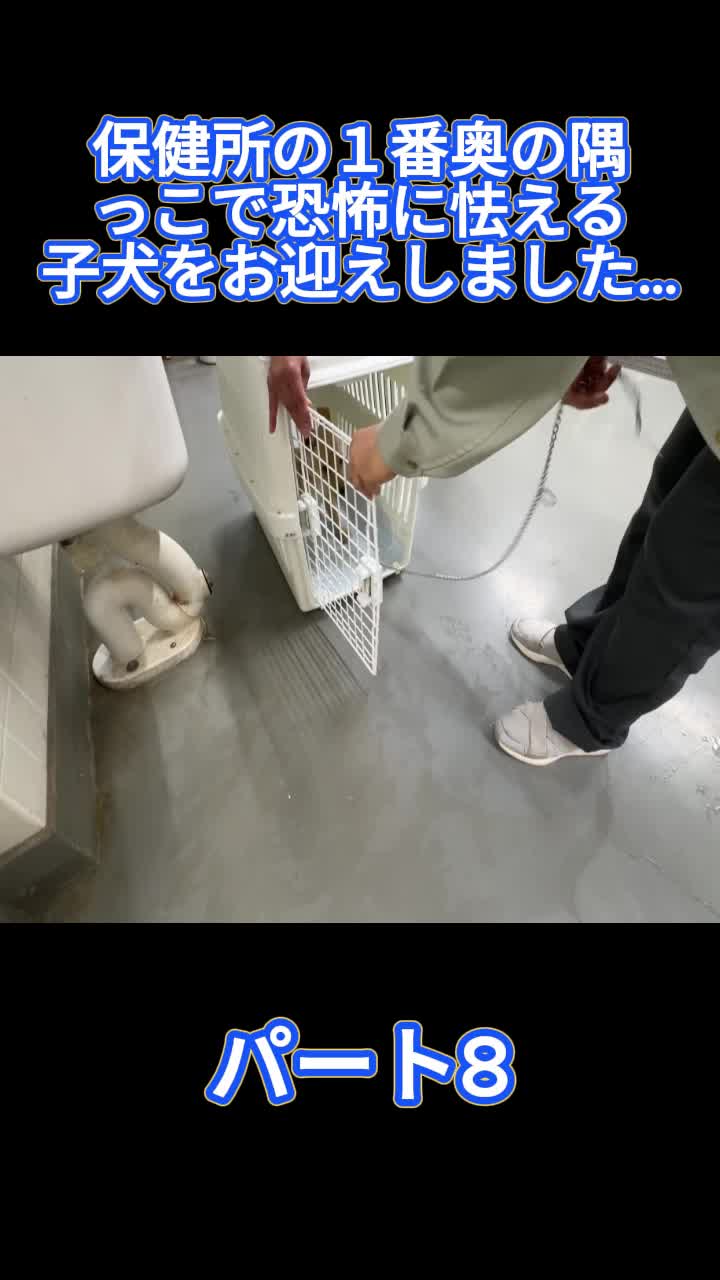 @ブルドッグぶるまるチャンネル Fan