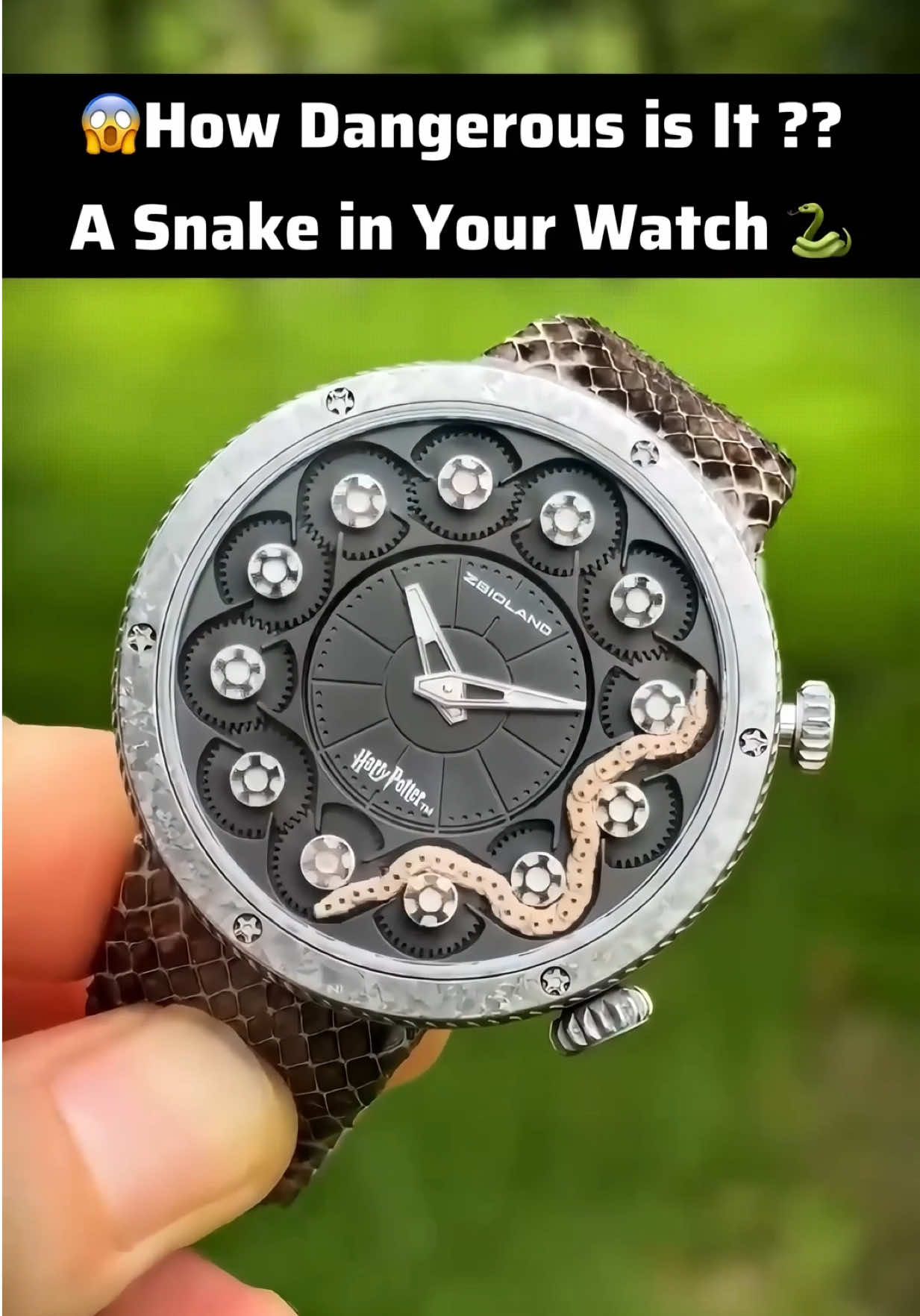 @watch_time_traveler