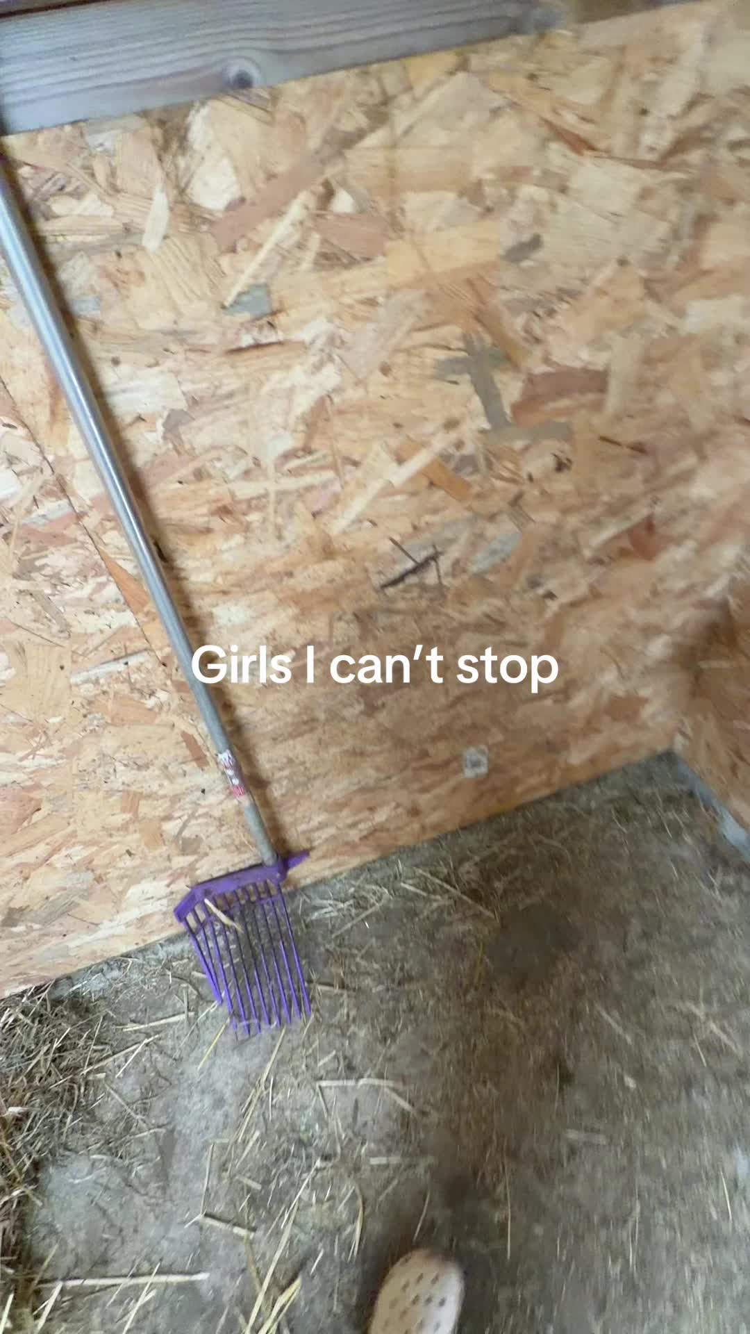 @chloe camp