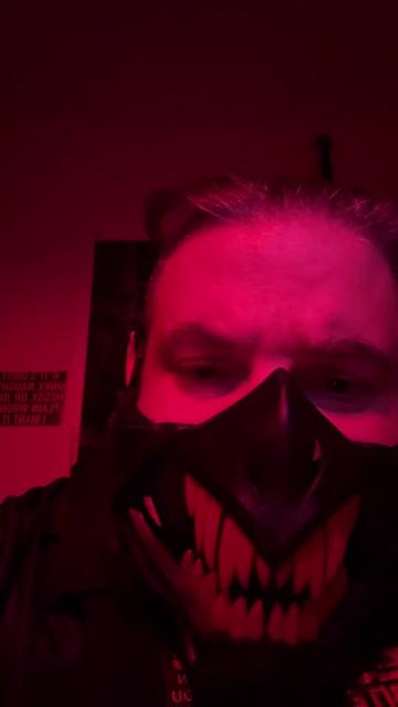@TheMaskedViking