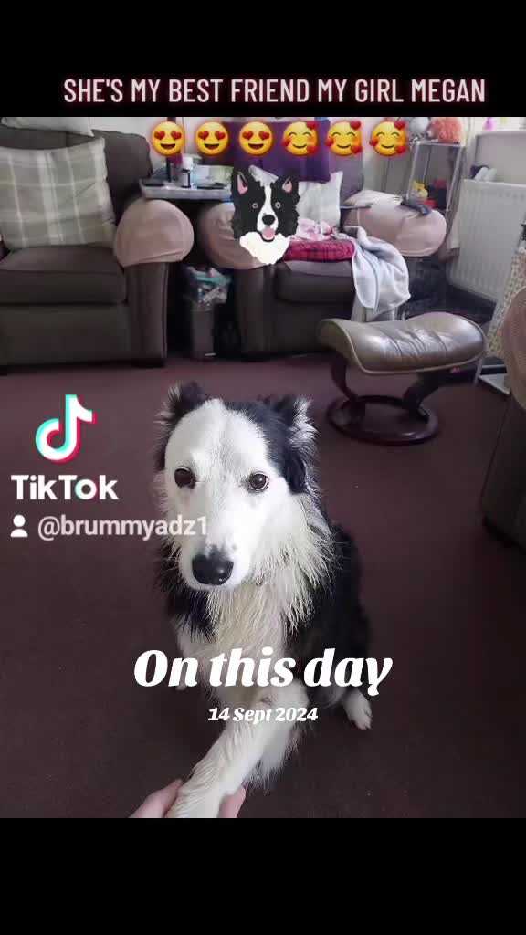 @BrummyAdz