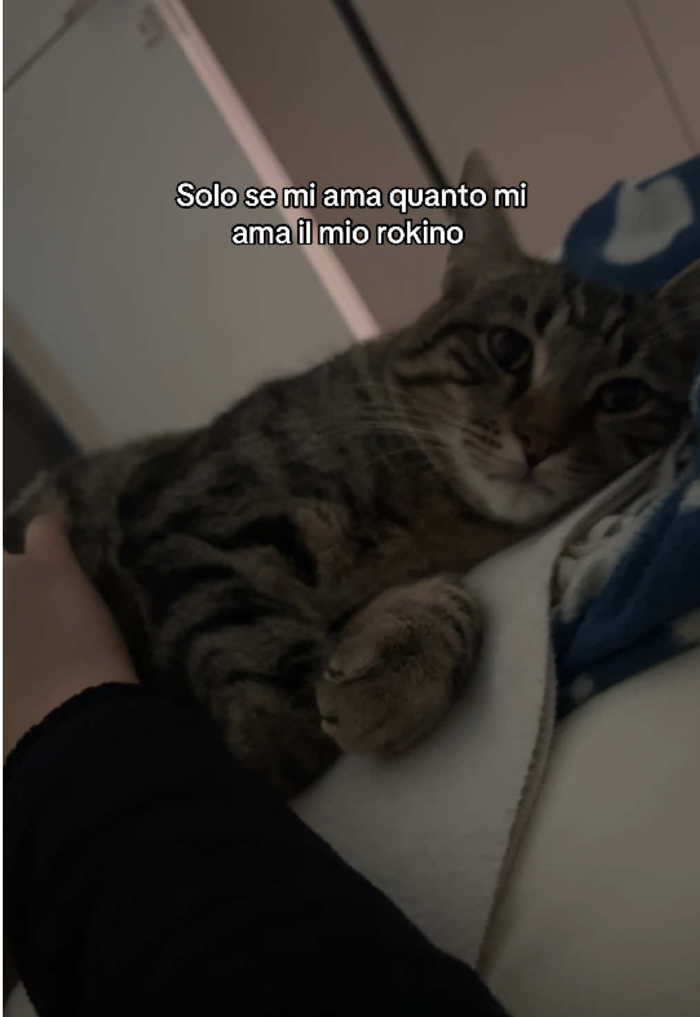 @sofi