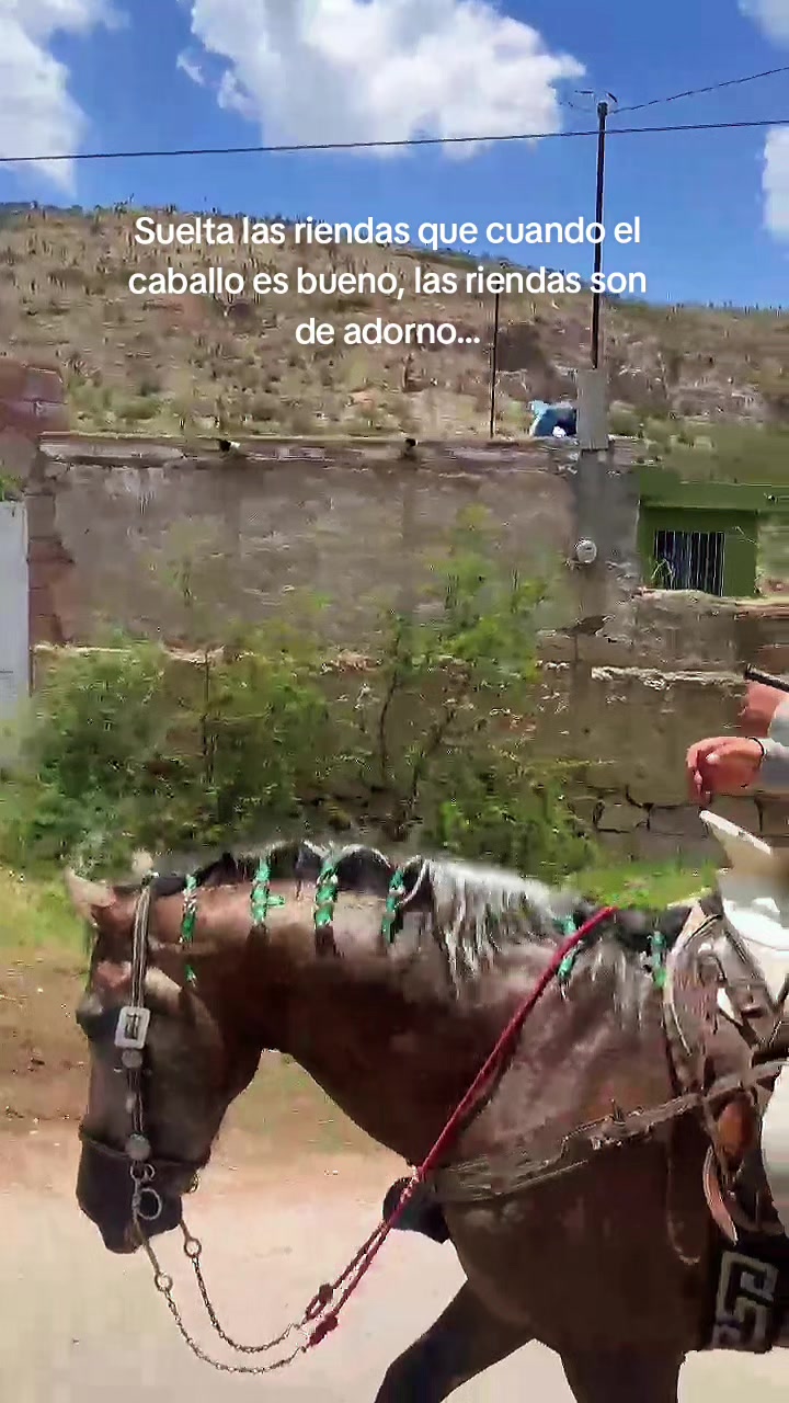 @AlejoRodriguez🎙🐎❤️