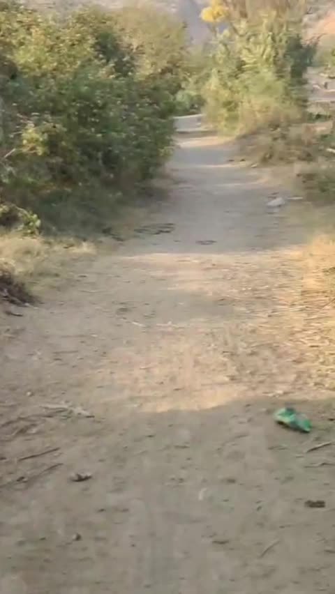 @Kohat_ka_dil