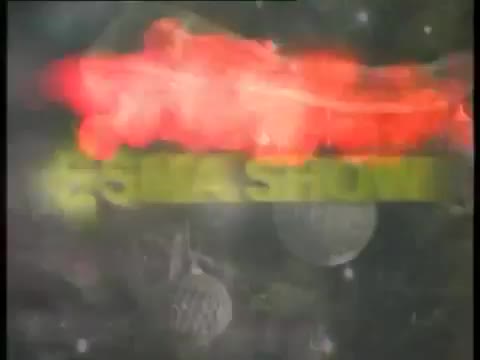 @Balkanska-zvezda