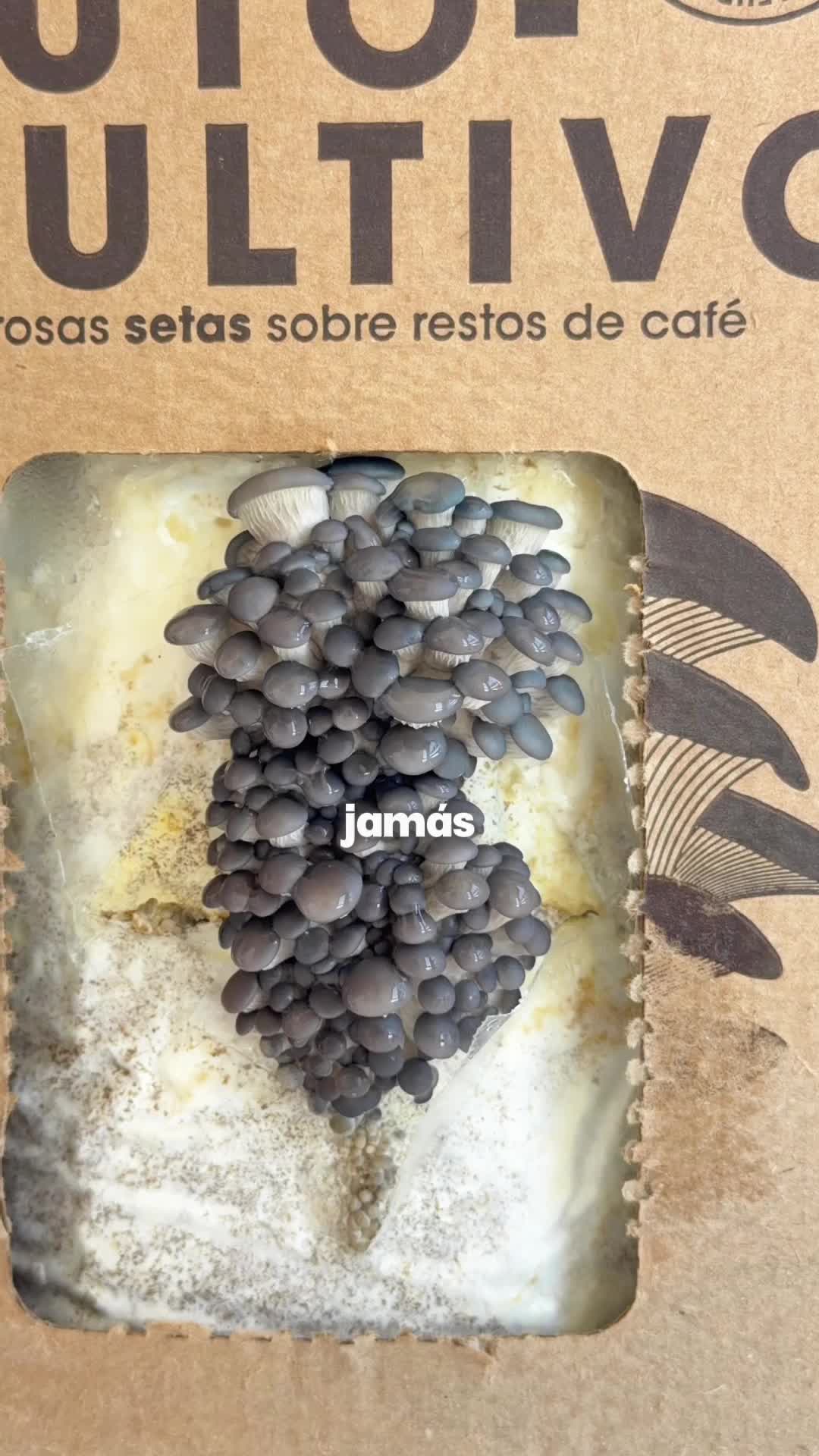 @🌱 En Abril Hojas Mil 🌱