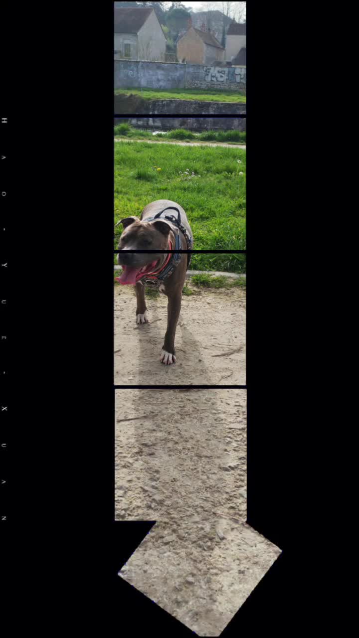 @Saphirlastaffy