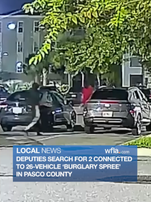 @WFLA News Channel 8