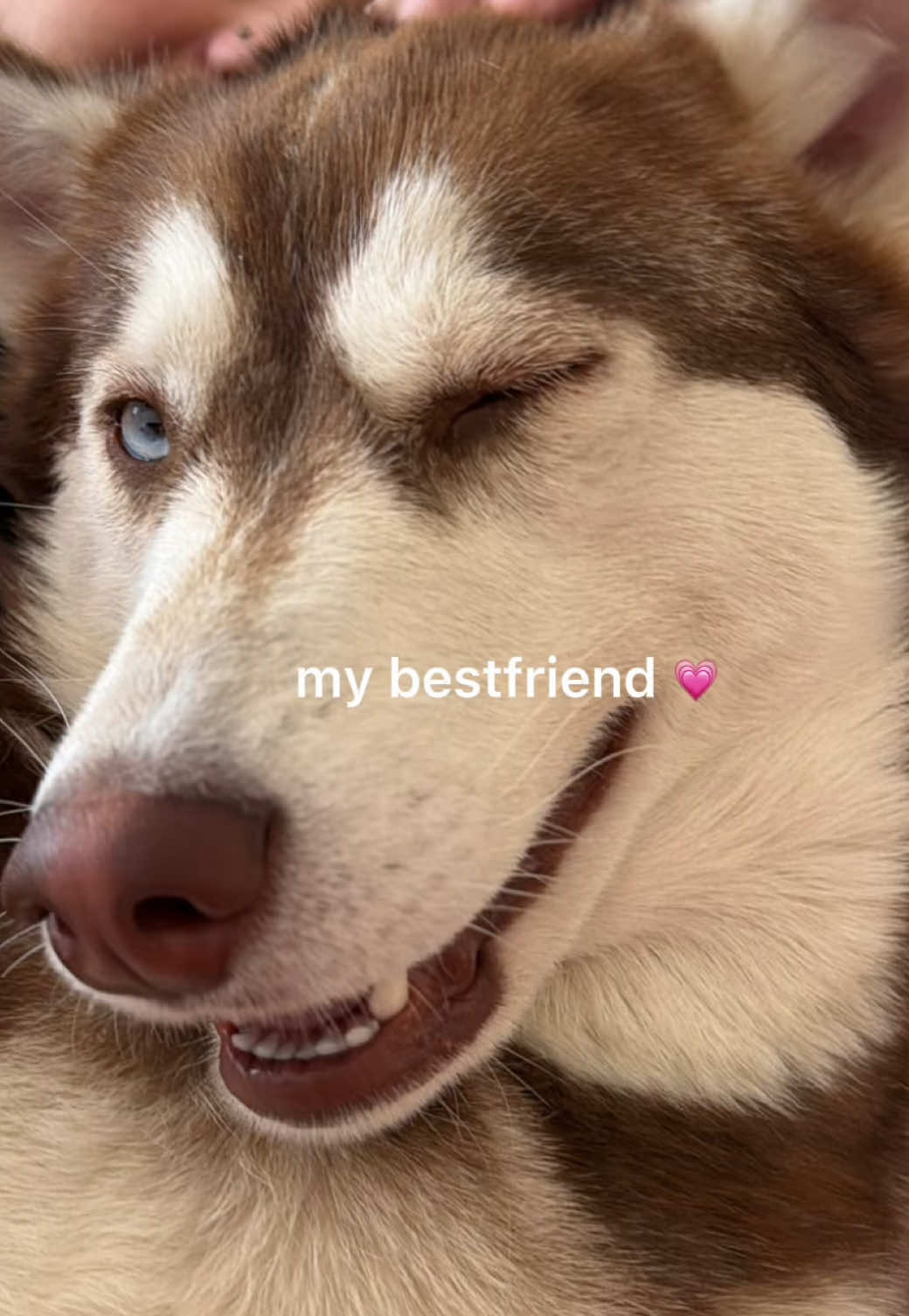 @Mishka