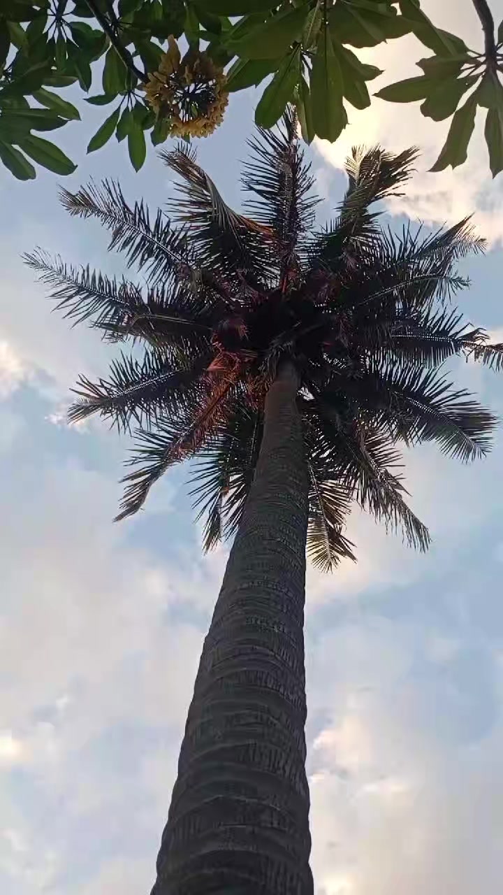 @Ichsan Solihudin