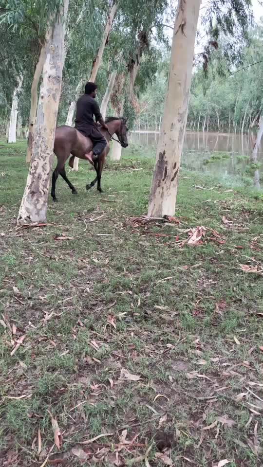 @HAMMAD IMTIAZ