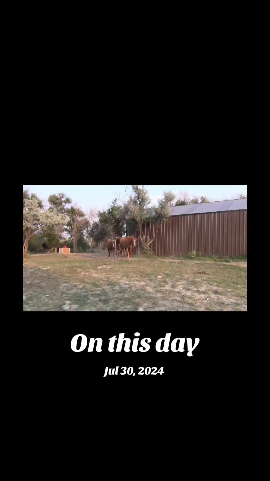 @Flint_❌ARRR Rescue Ranch