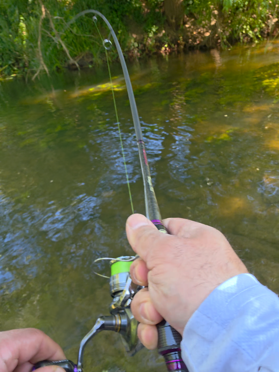 @BF Angler