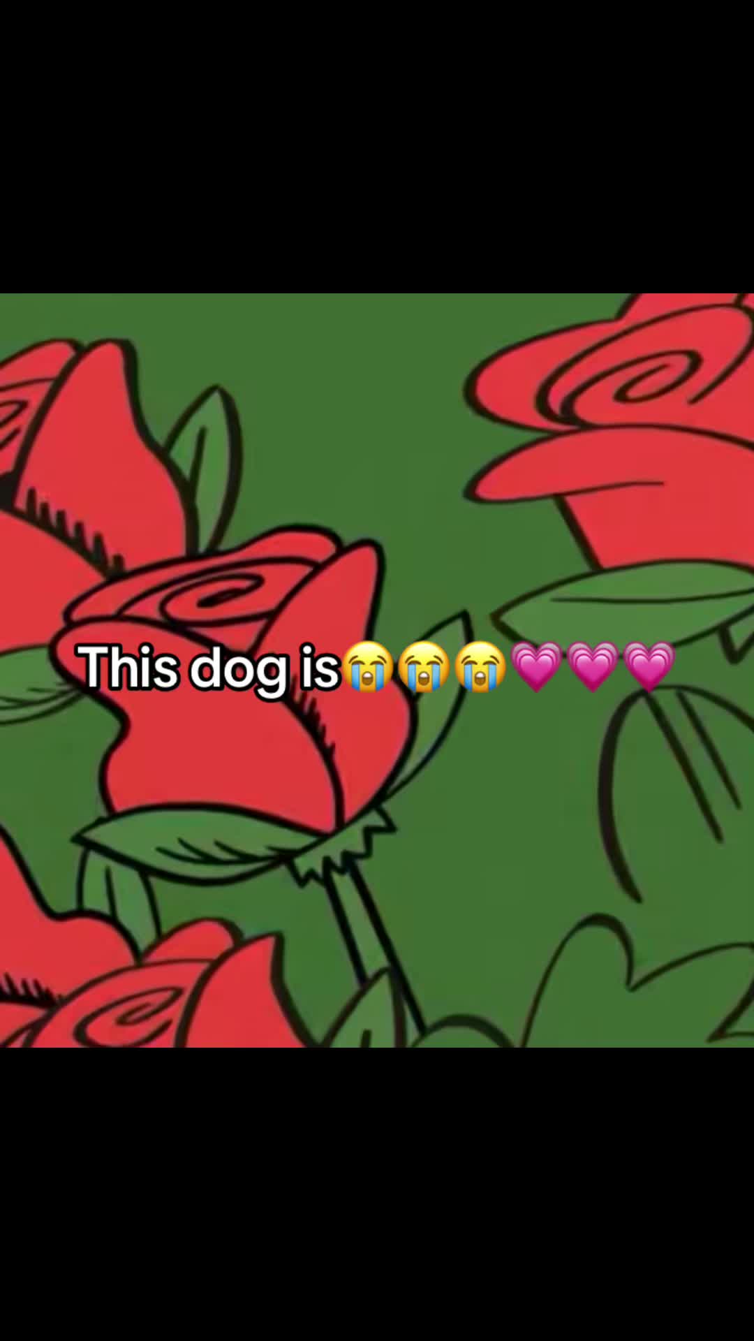 @๐๐ด