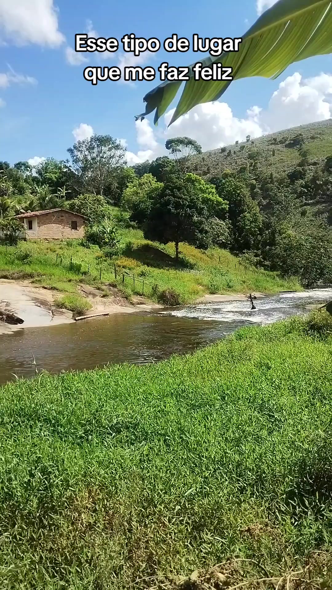 @Ro&ccedil;a 🤠🌱