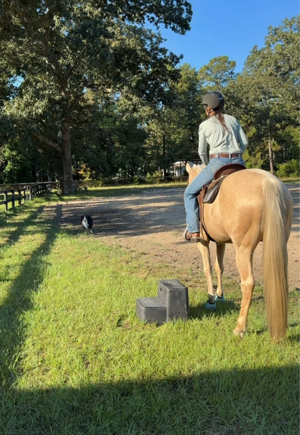 @corderoequine