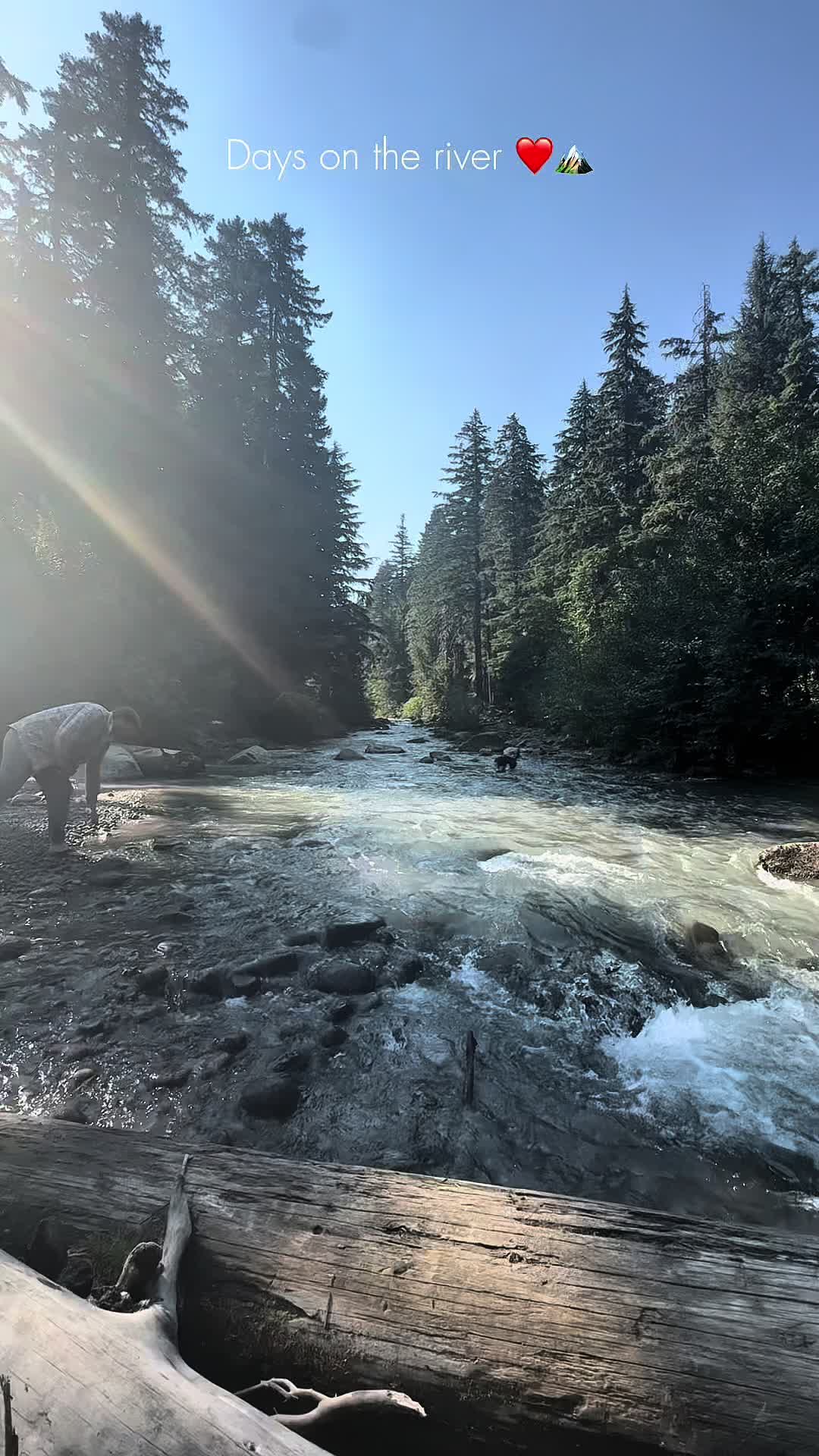 @Rachel🌲 PNW Life