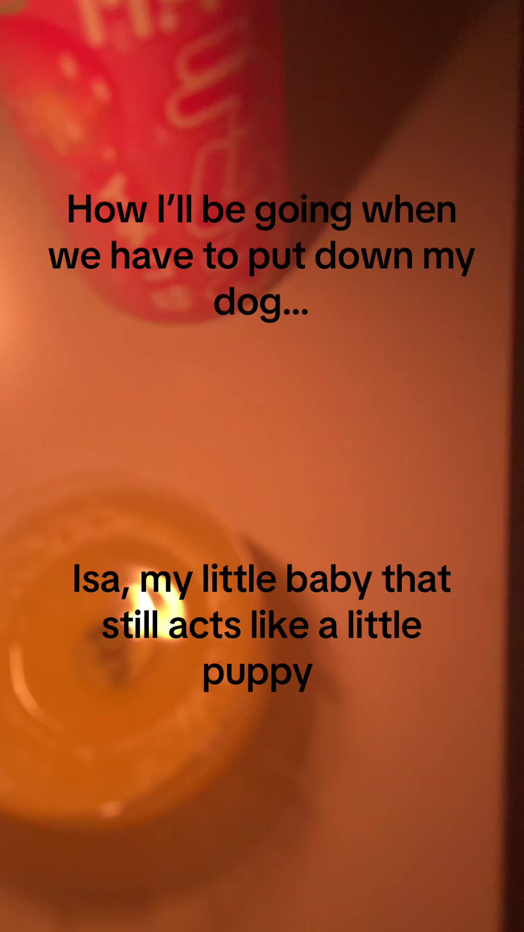 @puppy_paw5