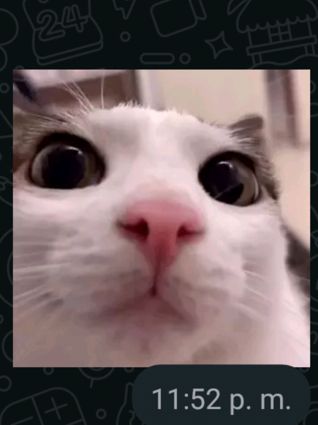 @Leyend