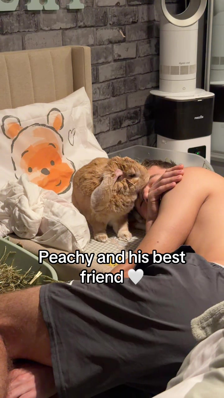 @Moana_Peachy