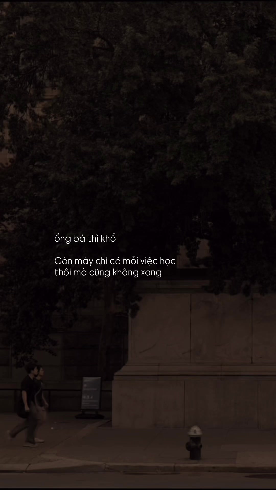 @Người Hiểu Chuyện