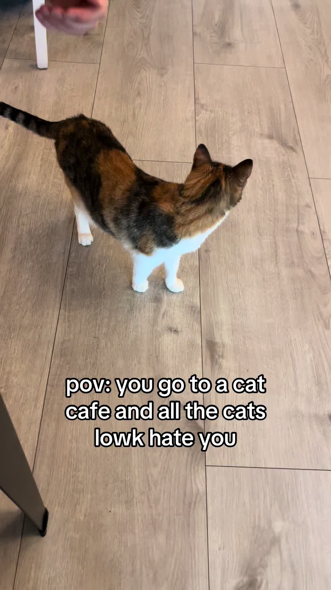 @ nuxsys