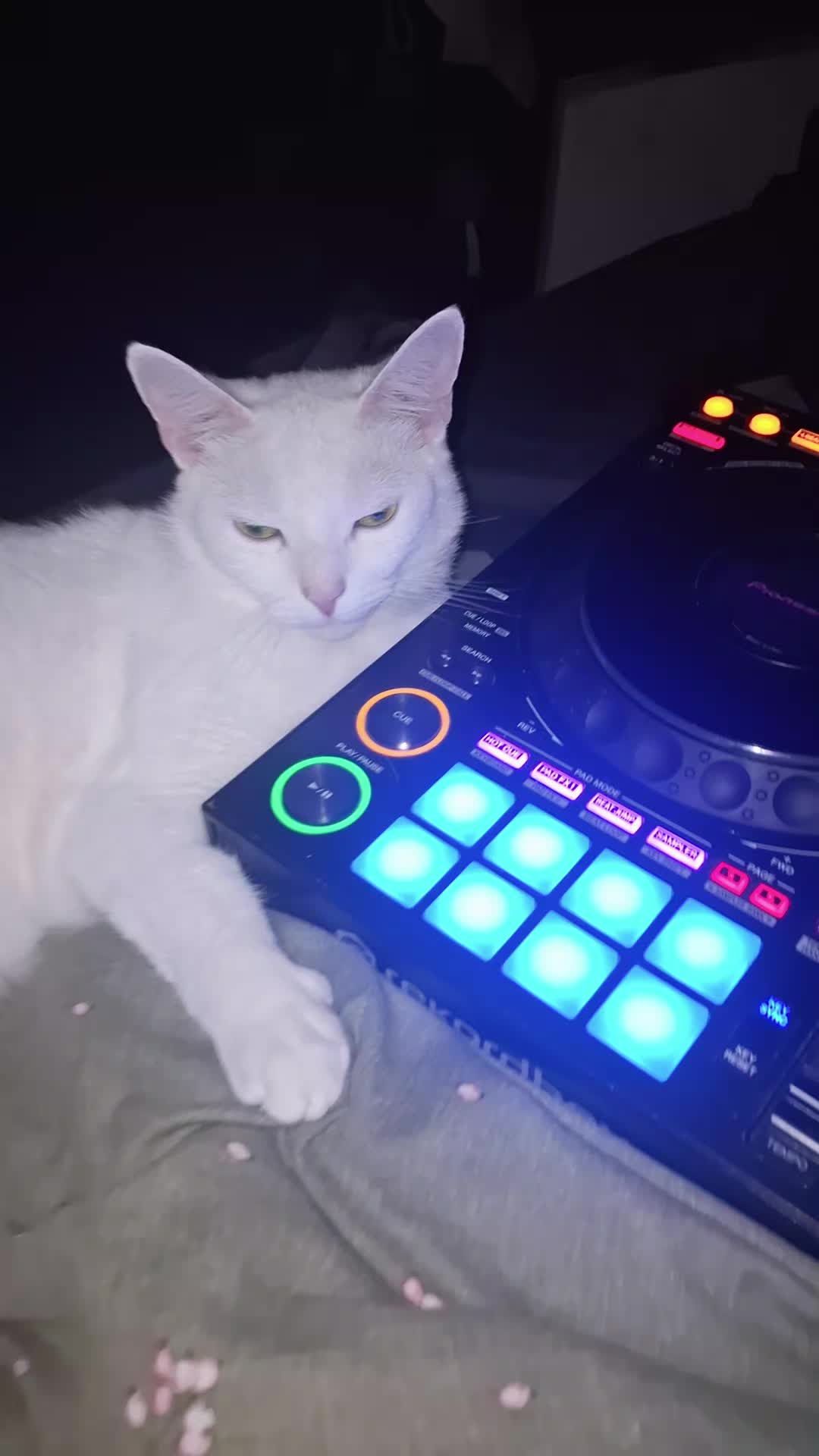@ 