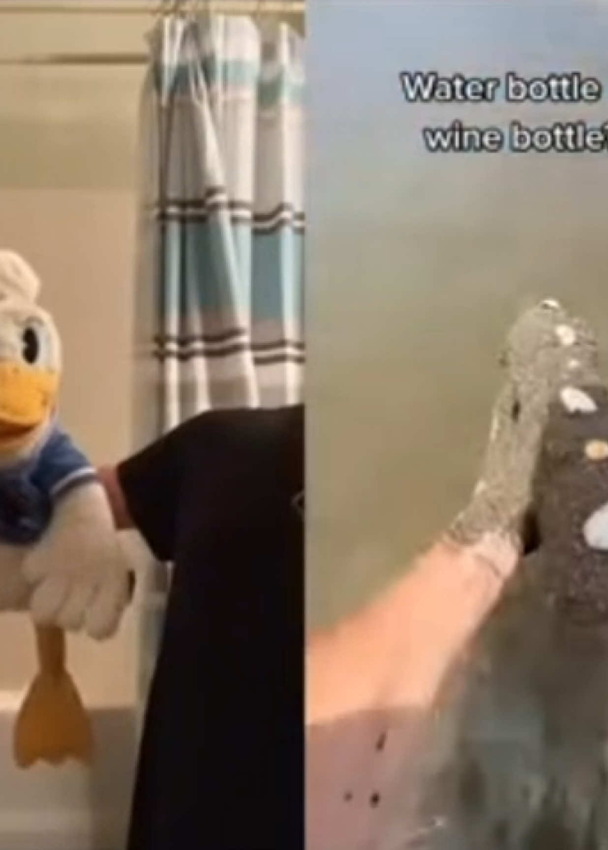 @donaldducc