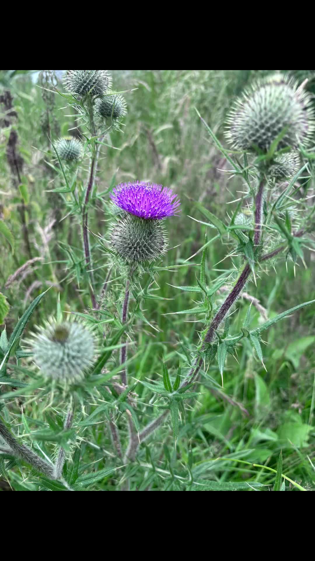 @Photo Walk Scotland