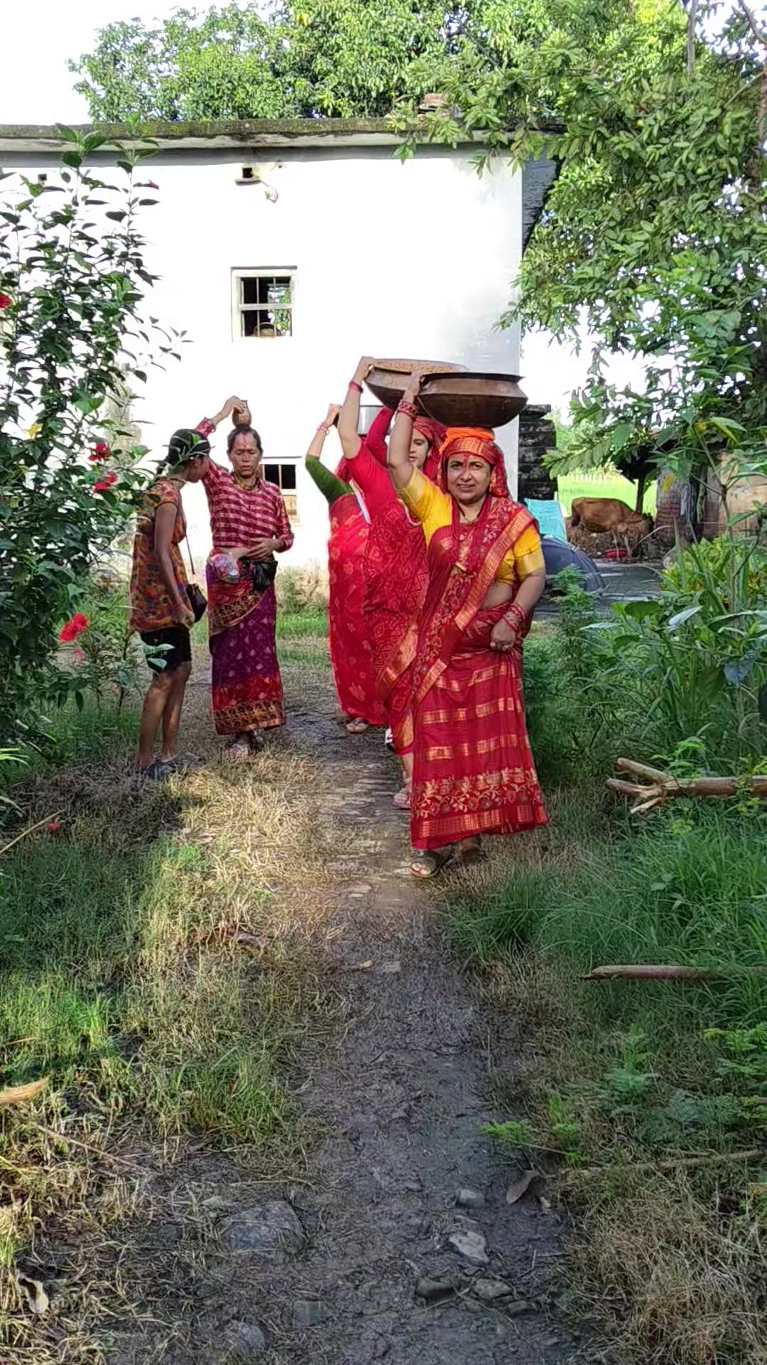 @नारा जोशी