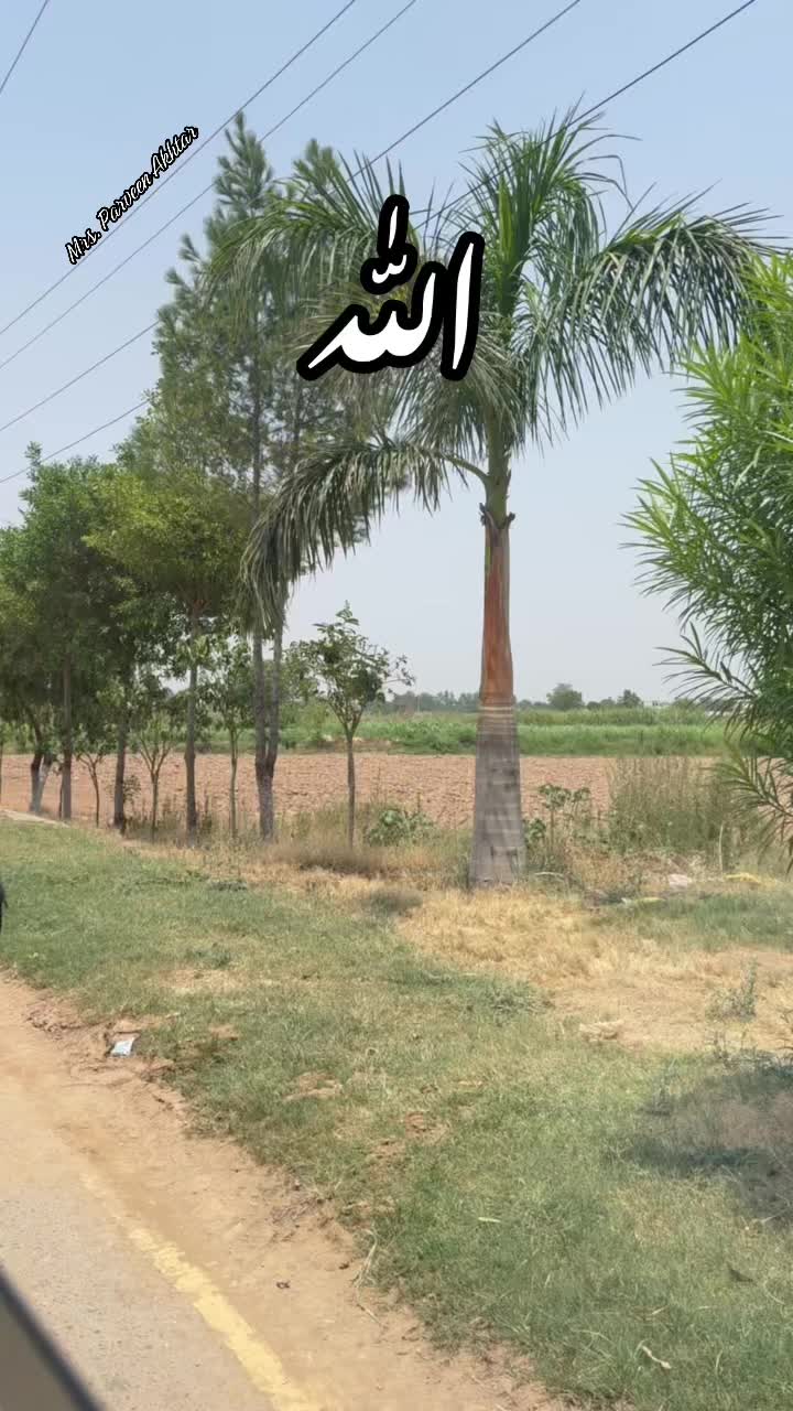 @Parveen Akhtar
