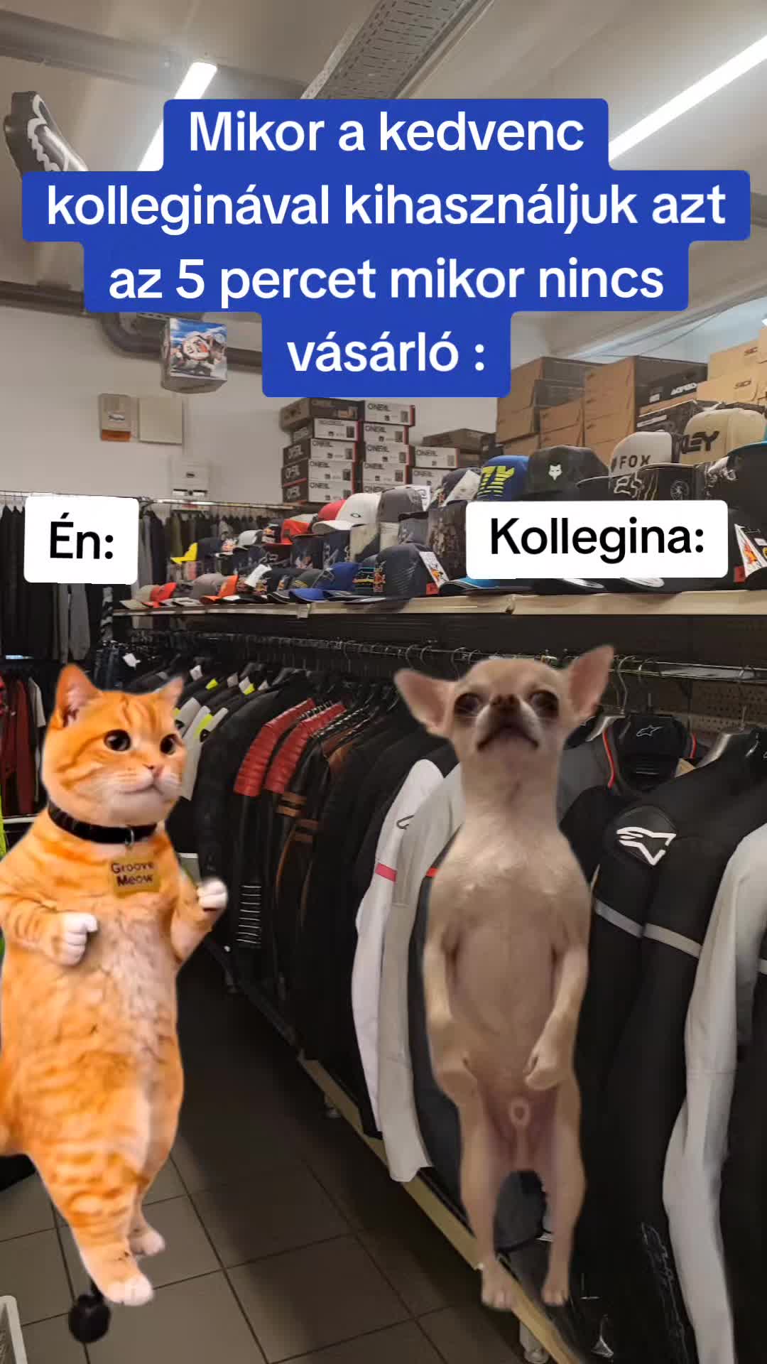 @Auner Győr