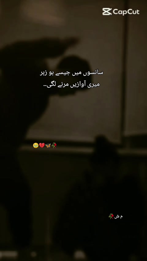 @💫🦋ShaYaN ki JaAna🦋💫
