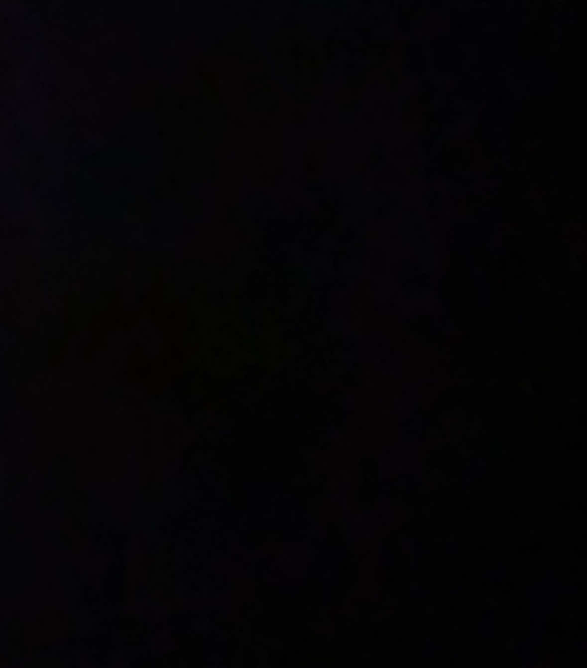 @𝐒𝐩𝐚𝐦𝐦 𝐄𝐯𝐞