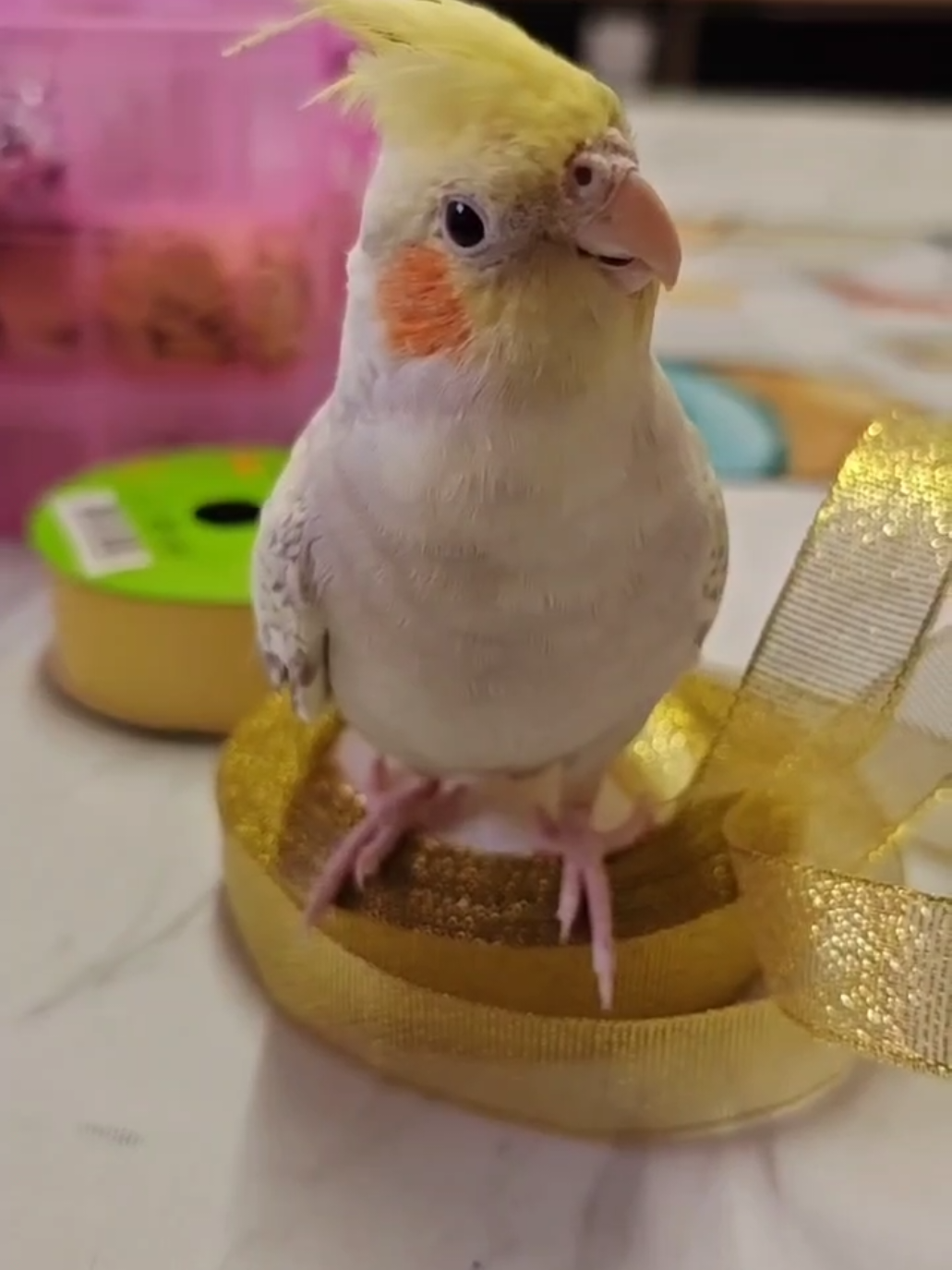 @Kawaii MJ