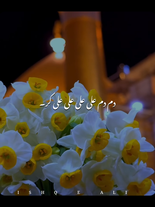 @𝙄𝙎𝙃𝙌 𝙀 𝘼𝙇𝙄 🙌🏻🚩
