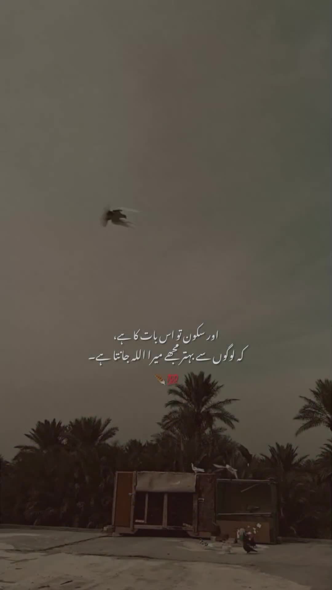 @𝙒𝘼𝙎𝙀𝙈🍂