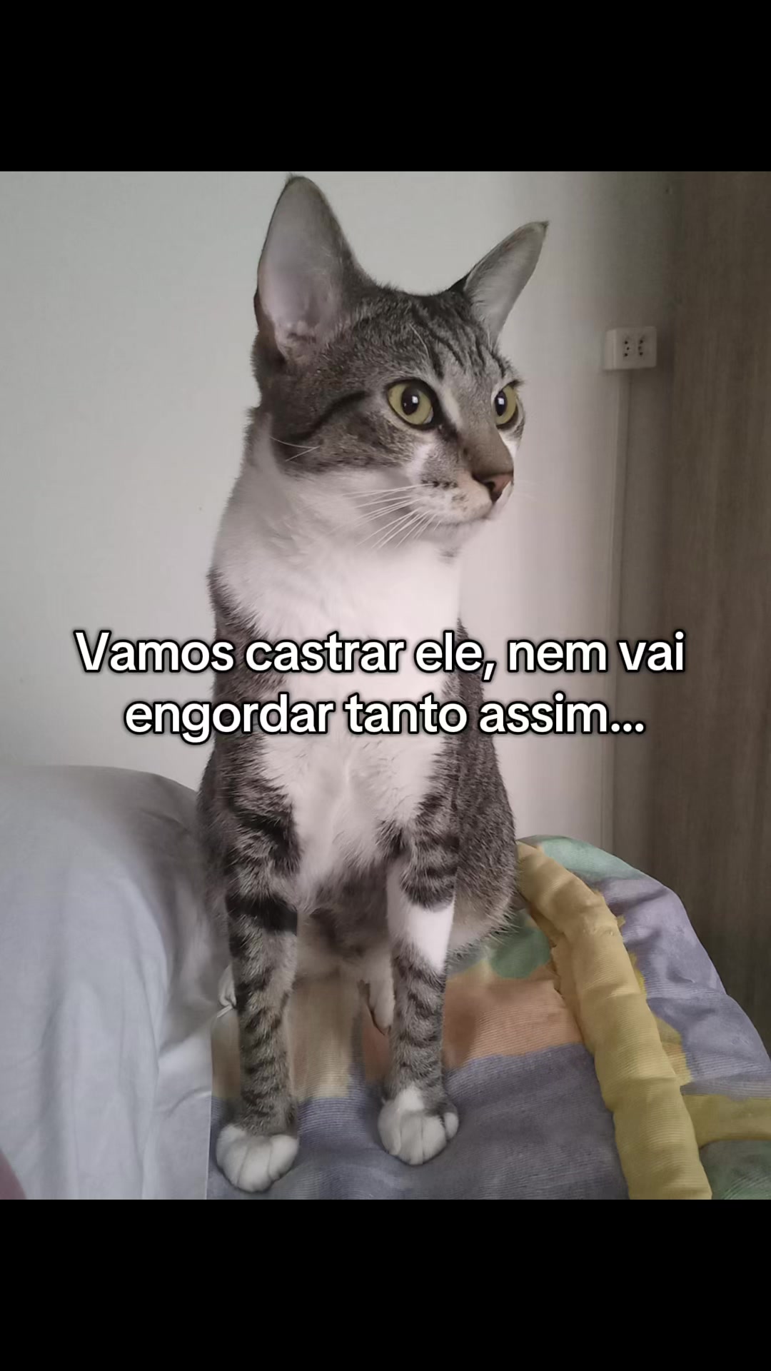 @manuoliveiraaaaaaa