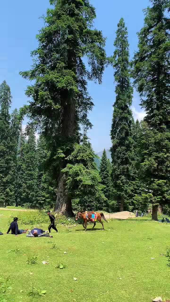 @Hussnain_Kashmiri