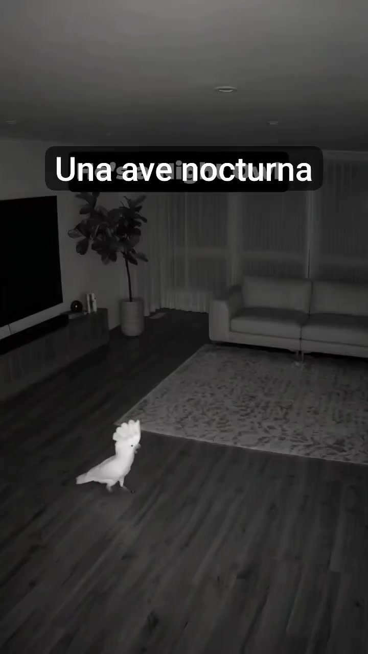 @๐ฐ๐๐๐๐๐๐พ๐๐๐๐