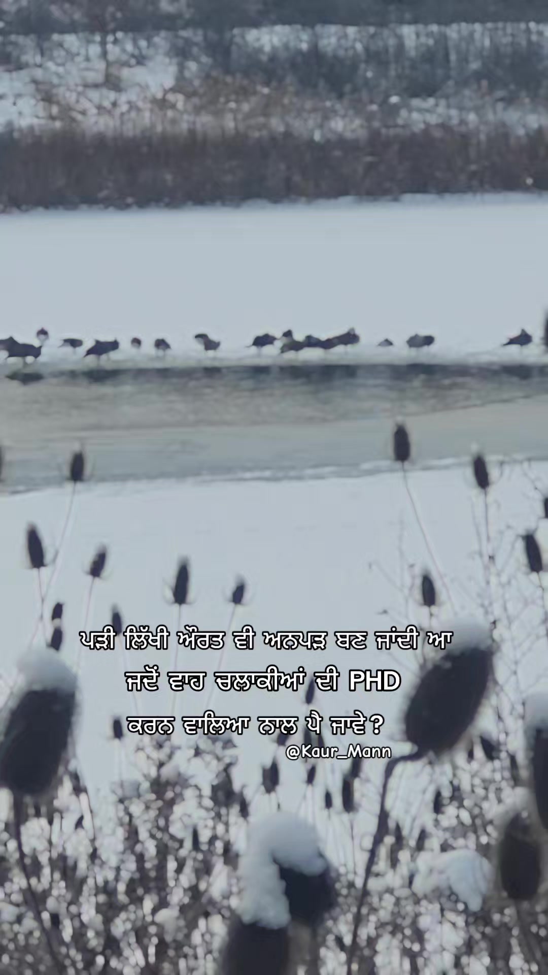 @𝕂𝕒𝕦𝕣 𝕄𝕒𝕟𝕟