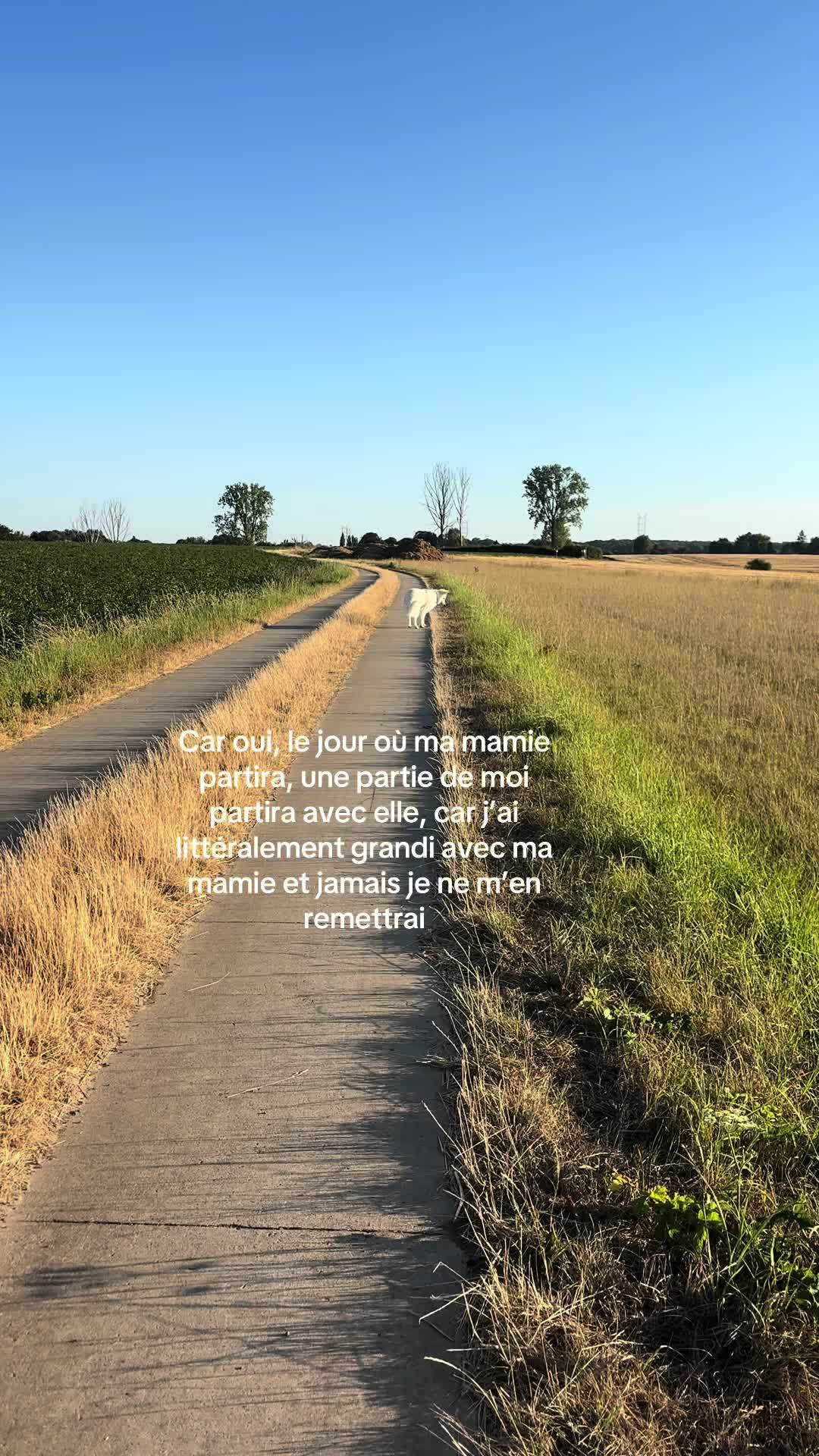 @Romane